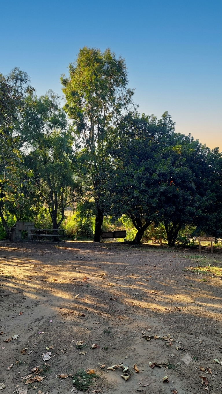 Áreas verdes y senderos de Rancho San Patricio en el Cañón Histórico de Rosarito